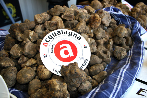 Tartufo - Acqualagna